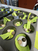 heads in muffin tin