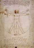 Vitruvian