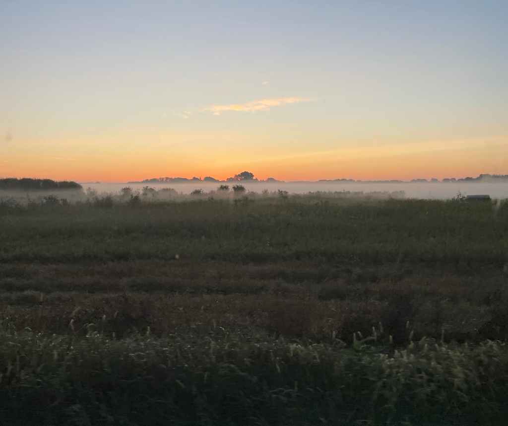 dawn on a misty day near Castle Rock, Minnesota